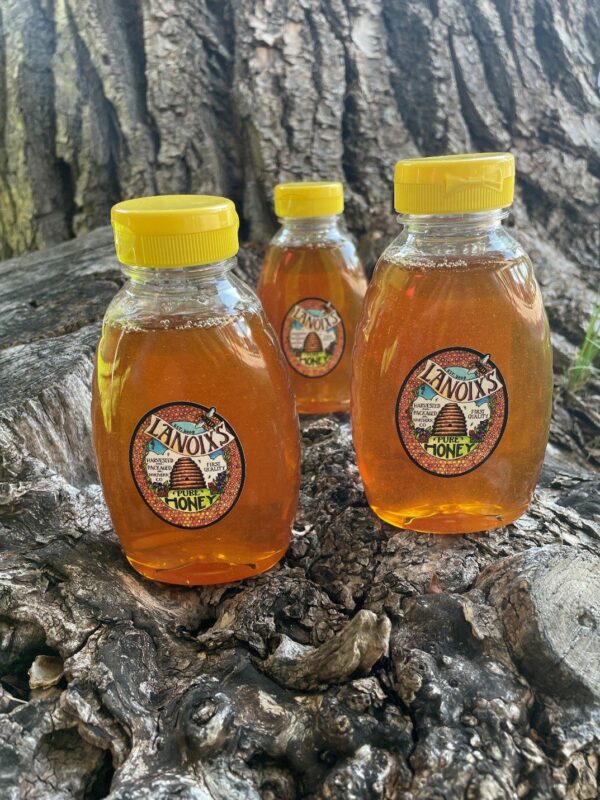 Bottles of honey